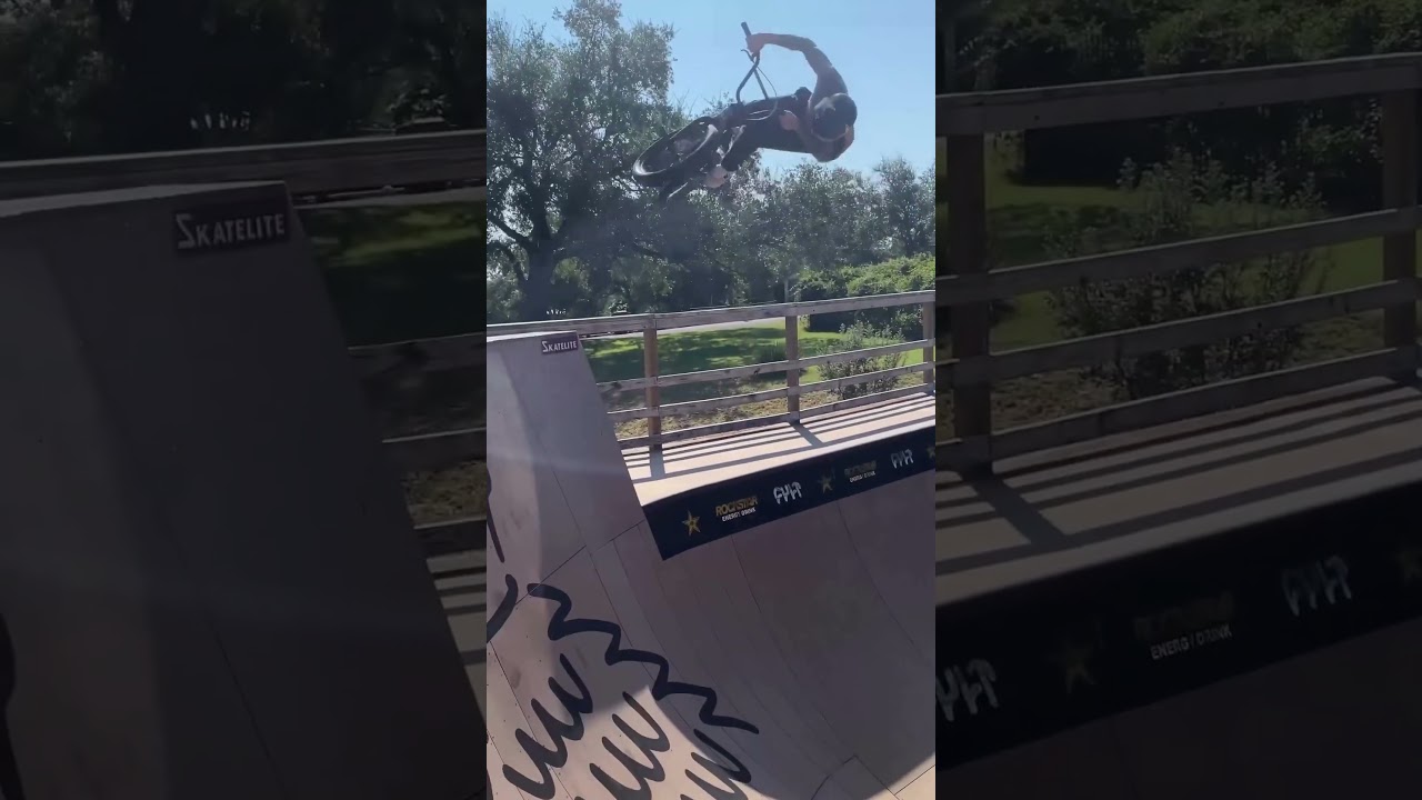 Imagem de destaque para: BACKYARD DREAMS / Chase Hawk's Nest