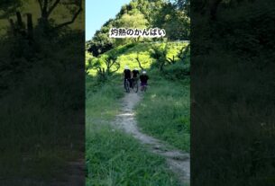 Imagem de destaque para: かんばいBMX play ground #MTB #BMX #ダートジャンプ　#自転車　#夏休み